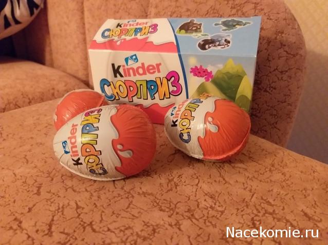 "Живой уголок"