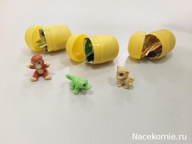 "Живой уголок"