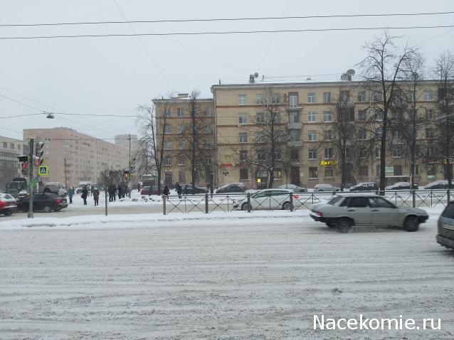 "Живой уголок"