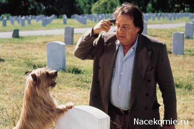 Кинозал автолюбителей