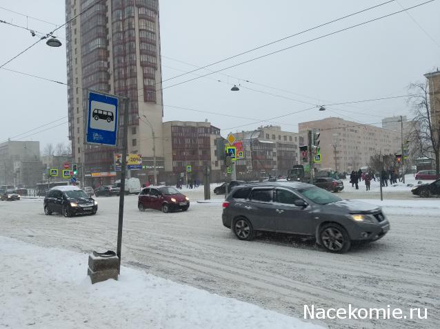 "Живой уголок"