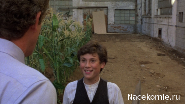 Кинозал автолюбителей