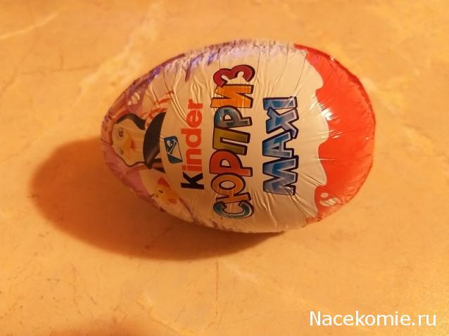 "Живой уголок"