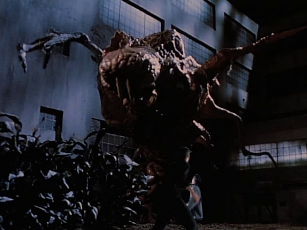 Кинозал автолюбителей