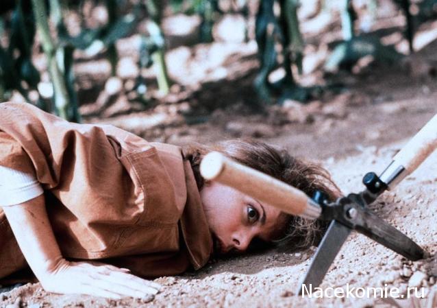 Кинозал автолюбителей