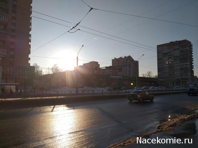 "Живой уголок"