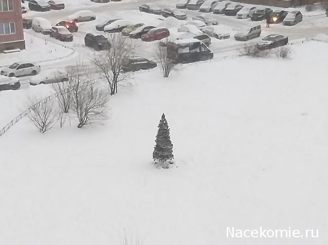 "Живой уголок"