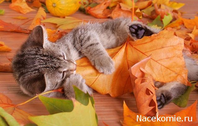 "Живой уголок"