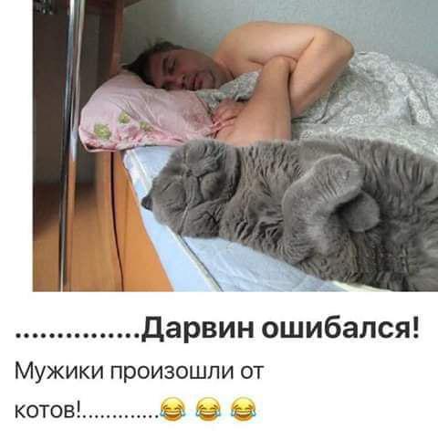 "Живой уголок"