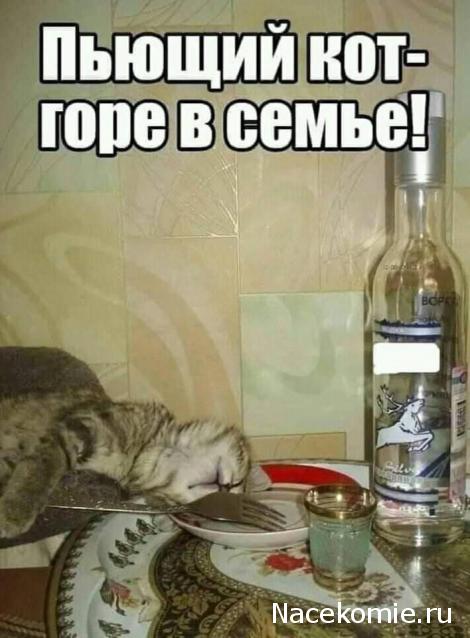 "Живой уголок"