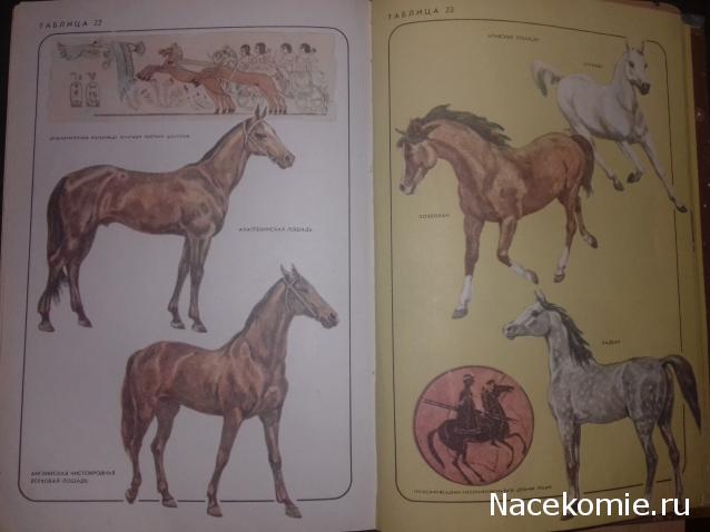 Библиотека - читальный зал