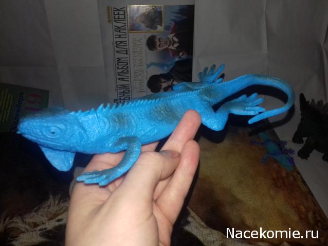 "Живой уголок"