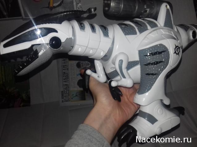 "Живой уголок"