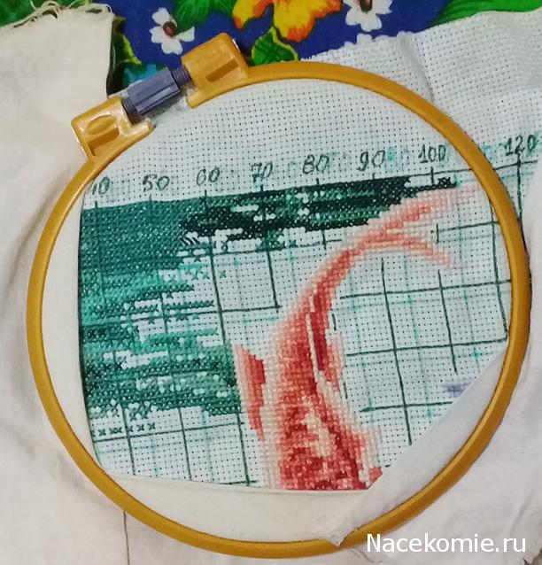 100 крестиков!