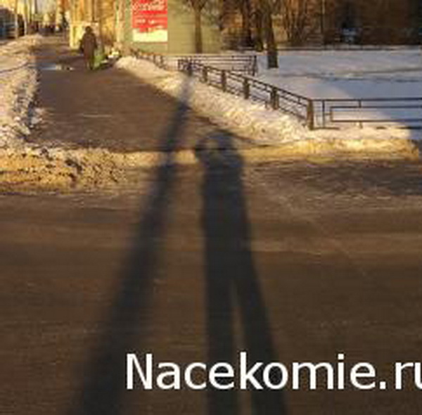 "Живой уголок"