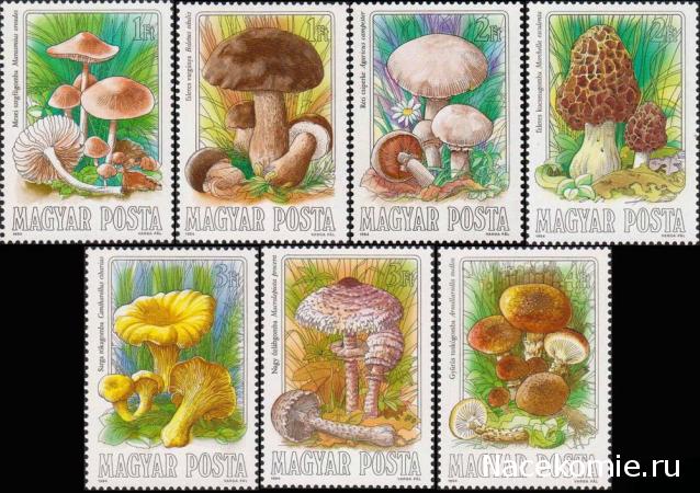 Почтовые марки Мира №228