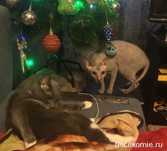 "Живой уголок"