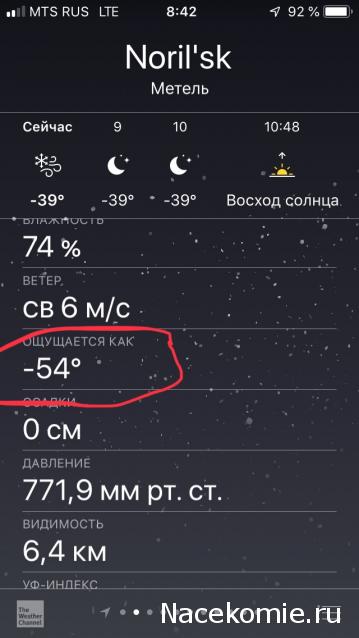 "Живой уголок"