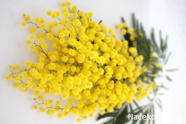 "Живой уголок"