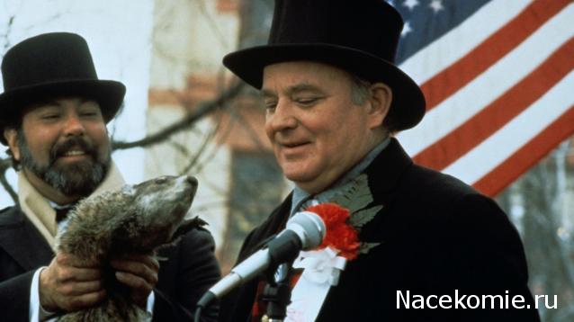 Кинозал автолюбителей