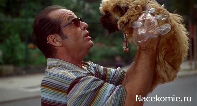 Кинозал автолюбителей