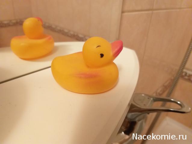 "Живой уголок"