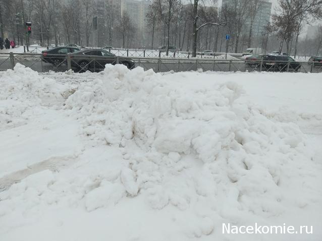 "Живой уголок"