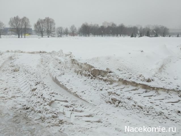 "Живой уголок"