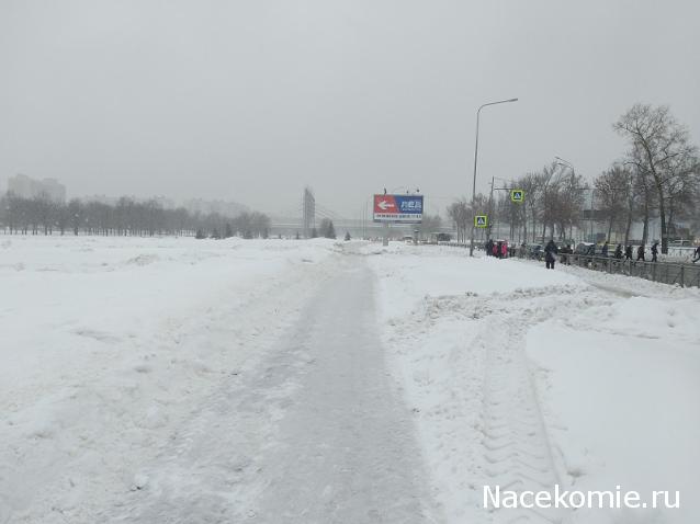 "Живой уголок"