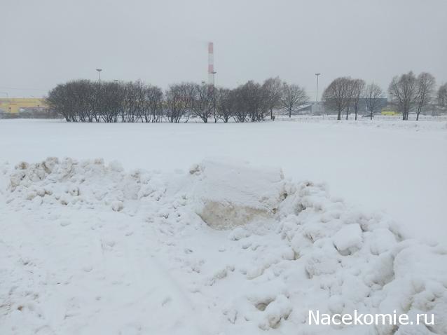 "Живой уголок"