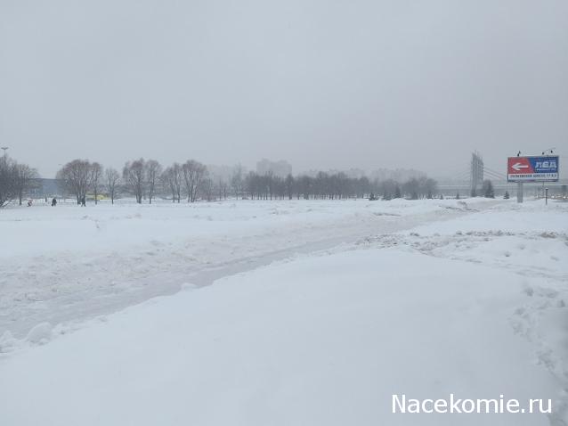 "Живой уголок"