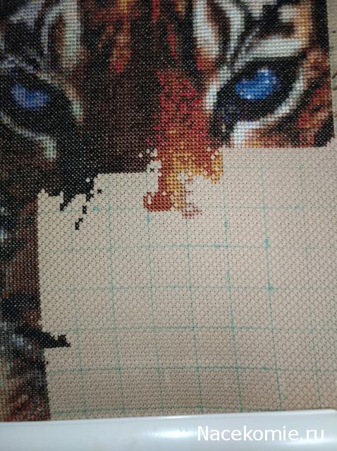 100 крестиков!