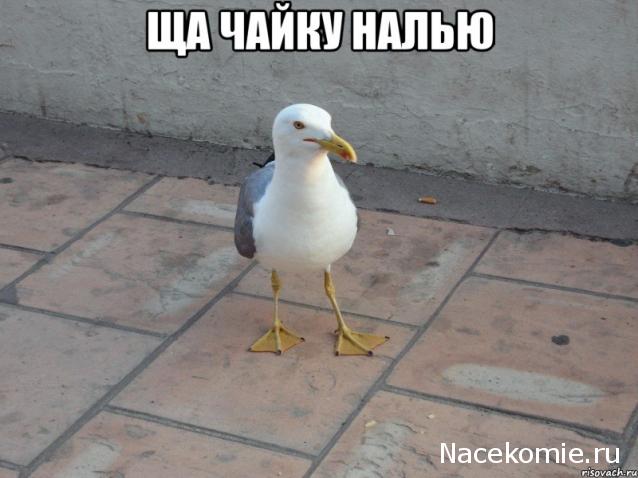 Автолегенды СССР - График выхода и обсуждение