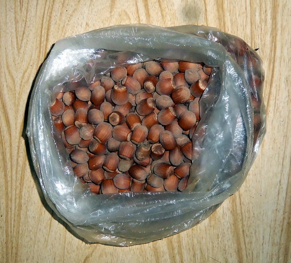 "Живой уголок"