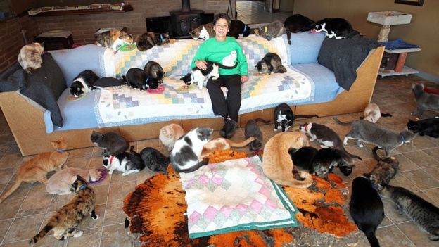 "Живой уголок"