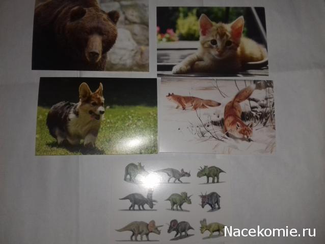 "Живой уголок"