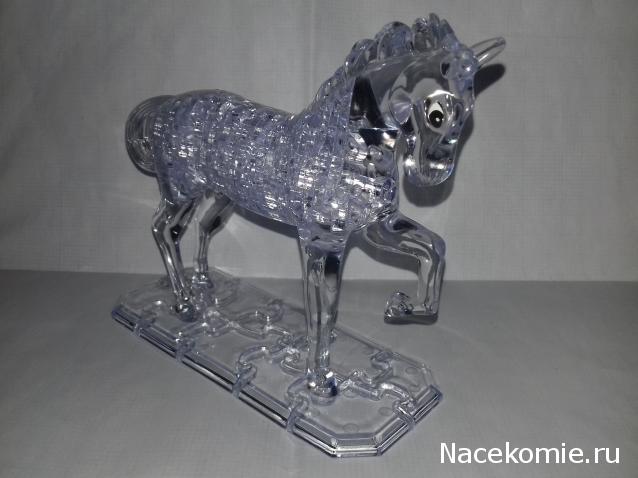 "Живой уголок"