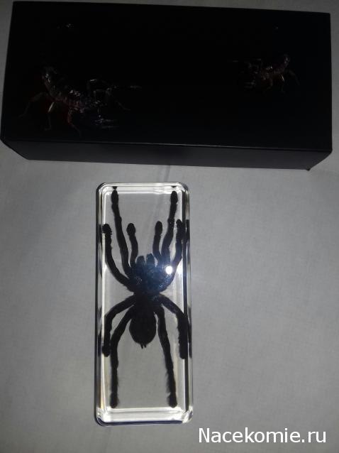 "Живой уголок"