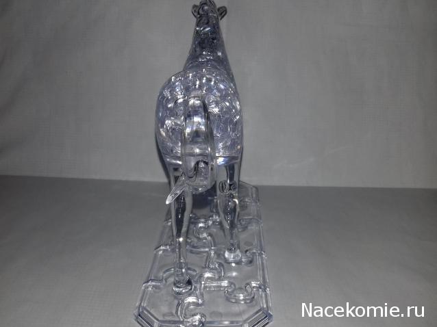 "Живой уголок"