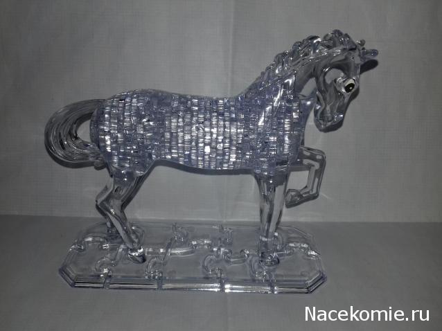 "Живой уголок"