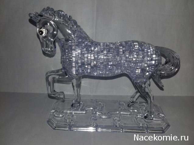 "Живой уголок"