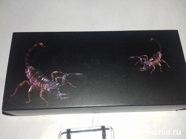 "Живой уголок"