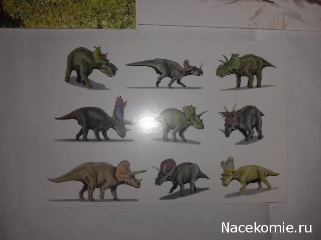 "Живой уголок"