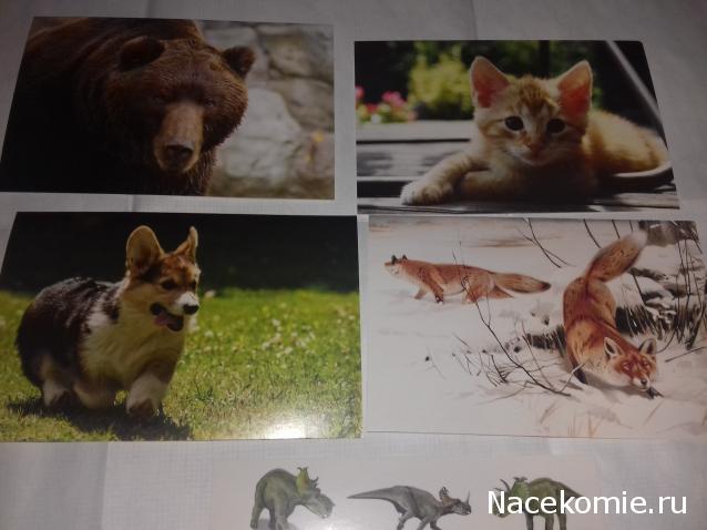 "Живой уголок"