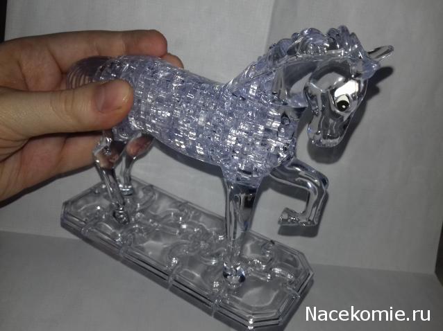 "Живой уголок"