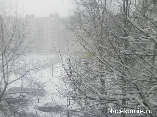 "Живой уголок"