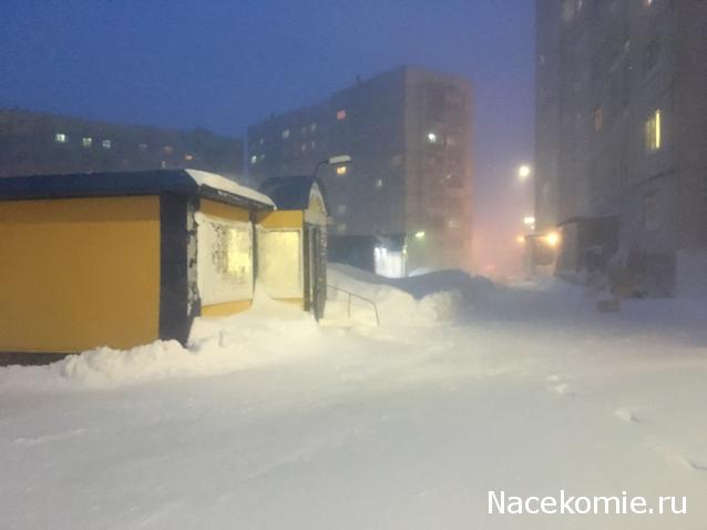 "Живой уголок"