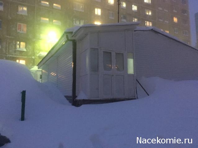 "Живой уголок"