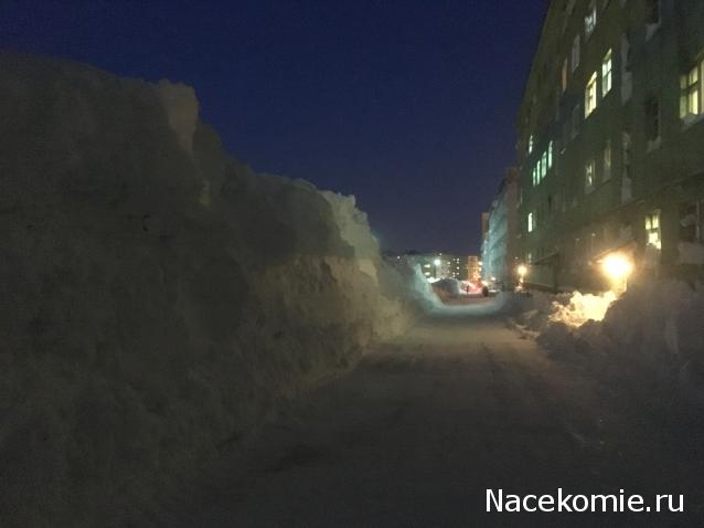 "Живой уголок"