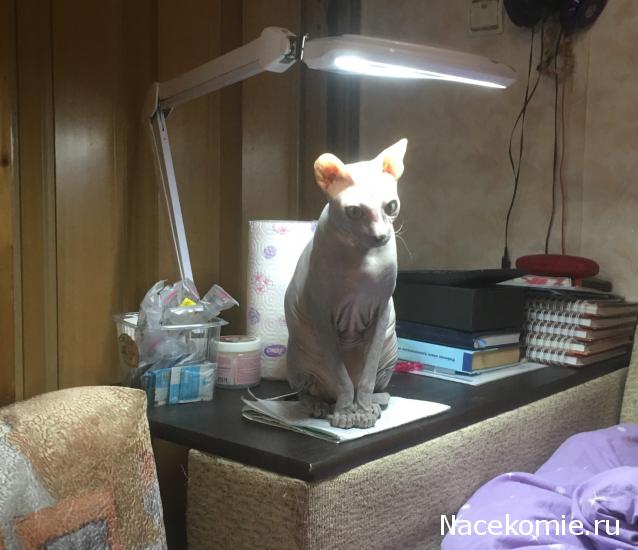 "Живой уголок"